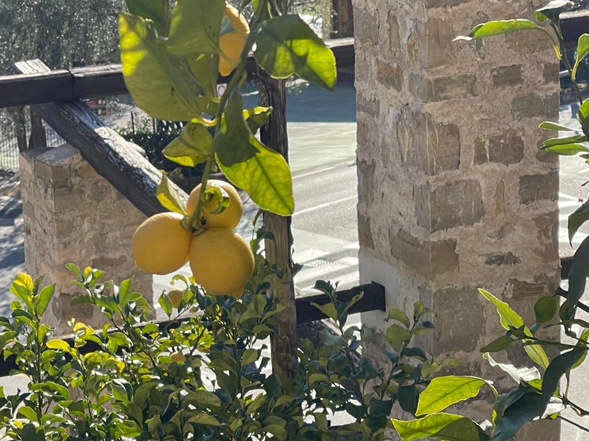 B&B Casa Limone 리몬네술가르다 외부 사진